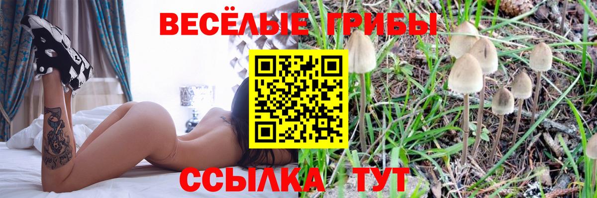 Галлюциногенные грибы Cubensis Нерюнгри