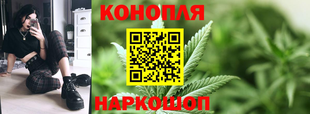 Канабис планчик Нерюнгри